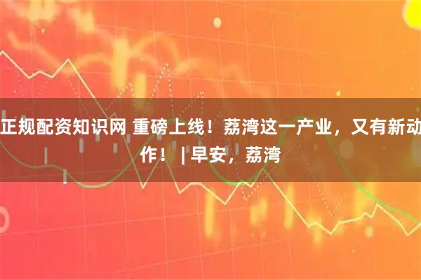 正规配资知识网 重磅上线！荔湾这一产业，又有新动作！ | 早安，荔湾