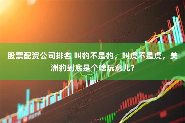 股票配资公司排名 叫豹不是豹，叫虎不是虎，美洲豹到底是个啥玩意儿?