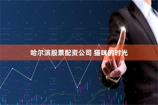 哈尔滨股票配资公司 猫咪的时光